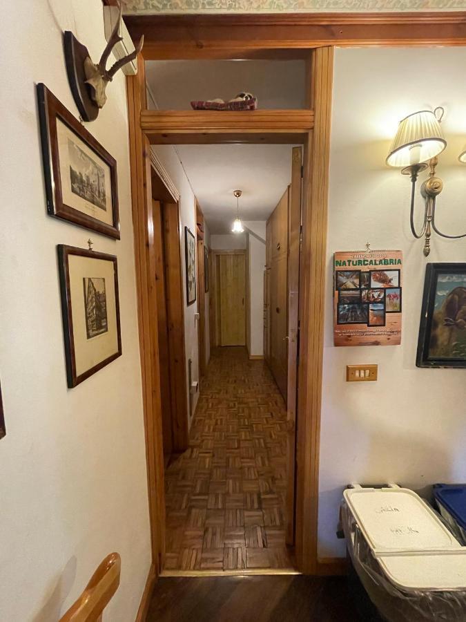 La Veranda Nella Neve - Camigliatello Silano Exteriör bild