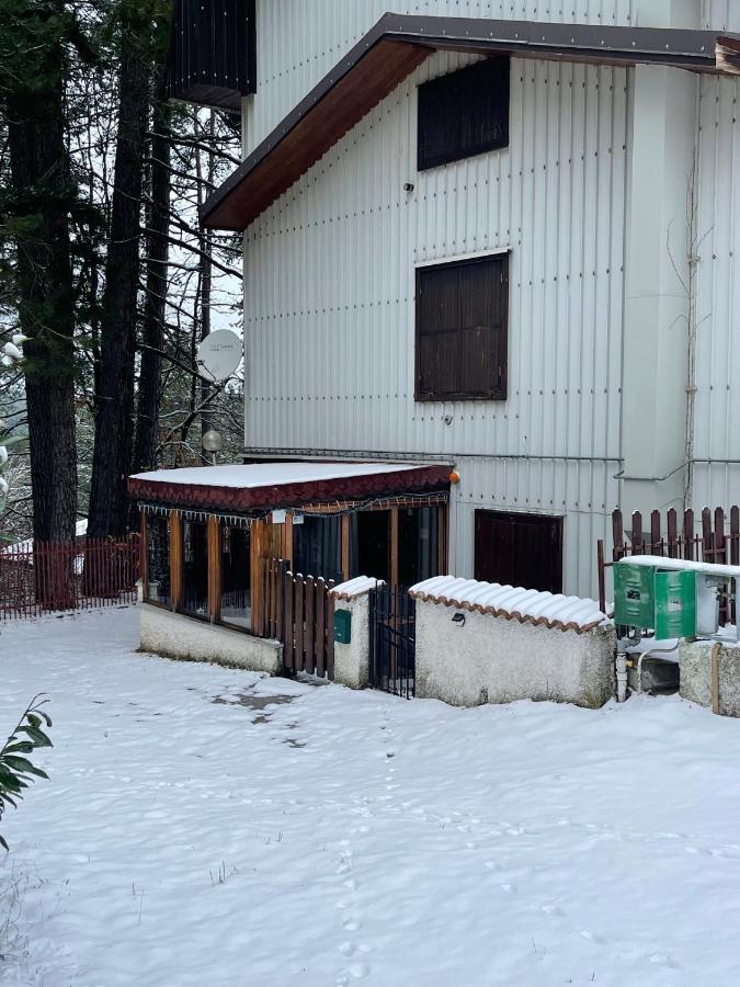 La Veranda Nella Neve - Camigliatello Silano Exteriör bild