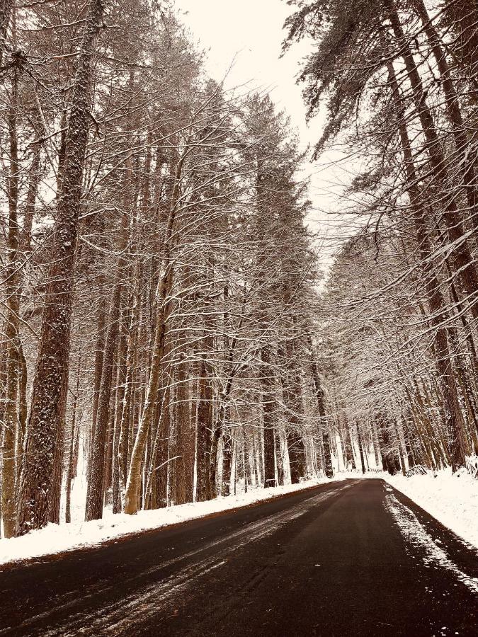 La Veranda Nella Neve - Camigliatello Silano Exteriör bild